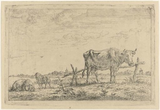 Meadow with Cow and Sheep
