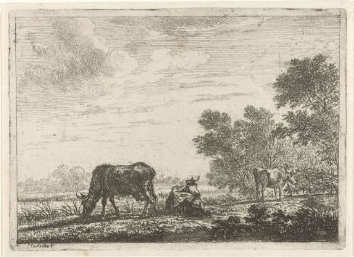 Three Cows in a Meadow