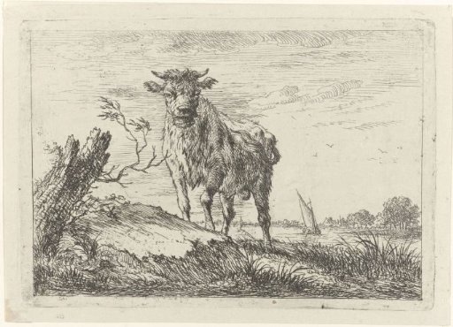 Bull on a Riverbank