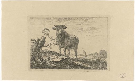 Bull on a Riverbank