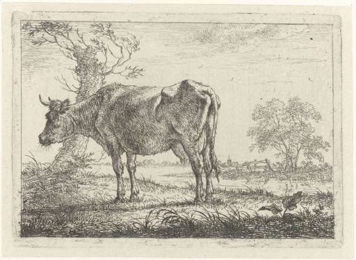 Standing Cow