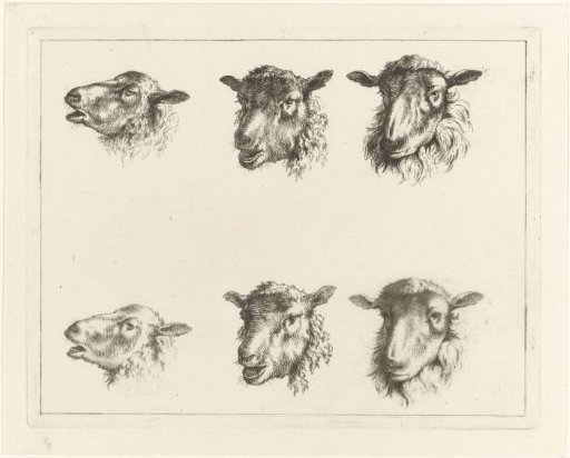 Study Sheet with Six Sheep Heads