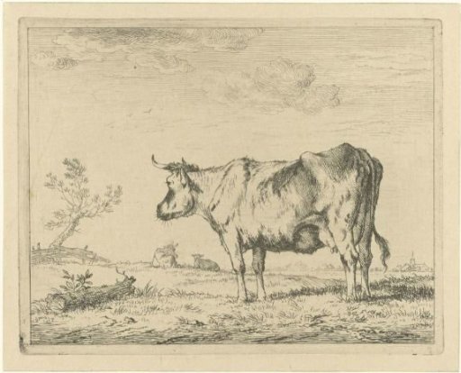 Meadow with Standing Cow
