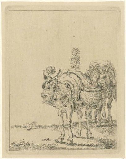 Two Pack Mules
