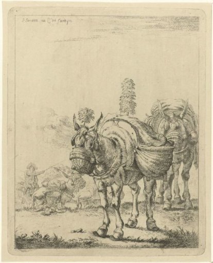 Two Pack Mules