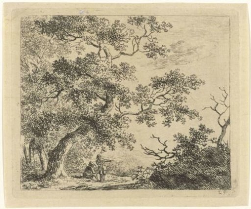 Wooded Landscape