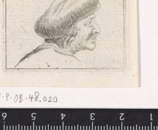 Head of a man, facing right