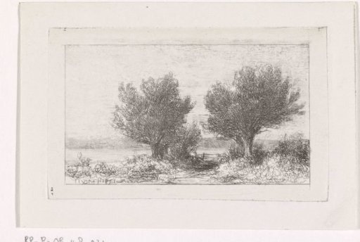 Trees in a meadow landscape