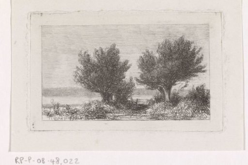 Trees in a meadow landscape