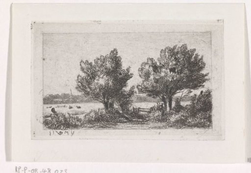 Trees in a meadow landscape