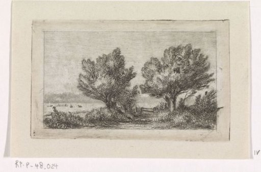 Trees in a meadow landscape