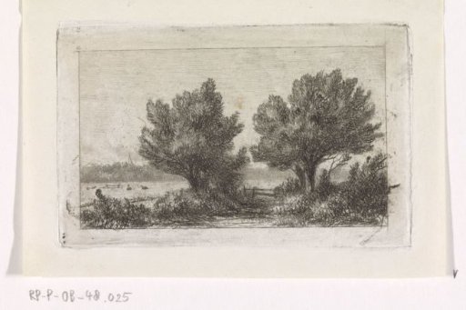 Trees in a meadow landscape