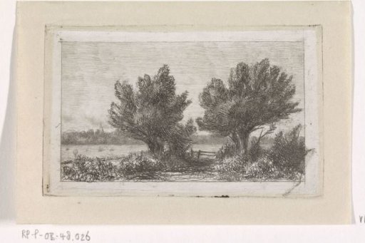 Trees in a meadow landscape
