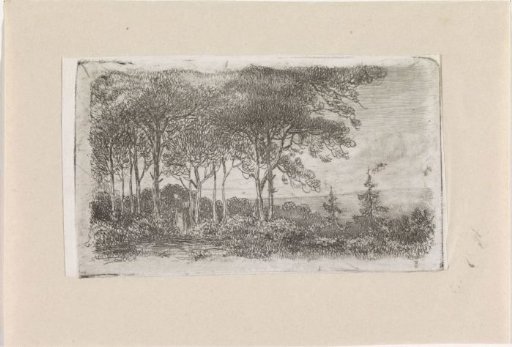 Woman by a row of trees