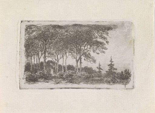 Woman by a row of trees