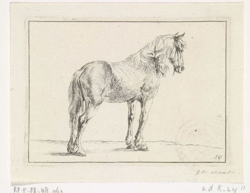 Standing horse to the right