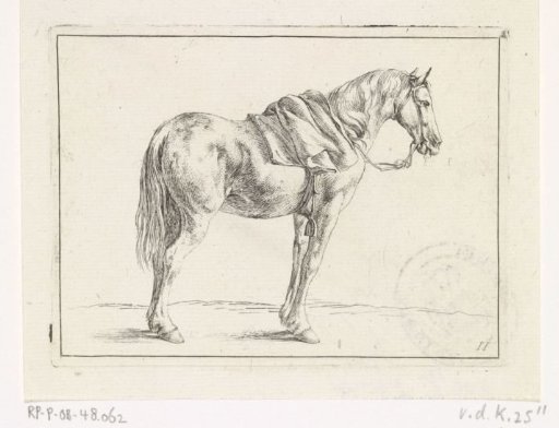 Saddled horse to the right