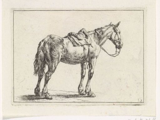 Riding horse to the right
