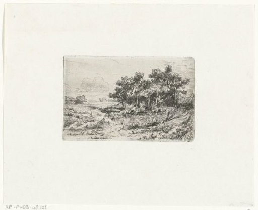 Landscape with undergrowth