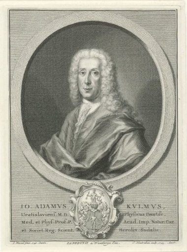 Portrait of Johan Adam Kulmus
