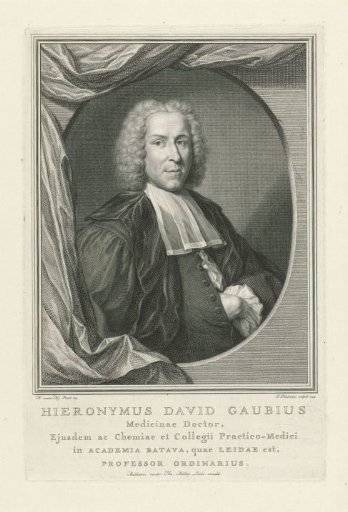 Portrait of Hieronymus David Gaubius