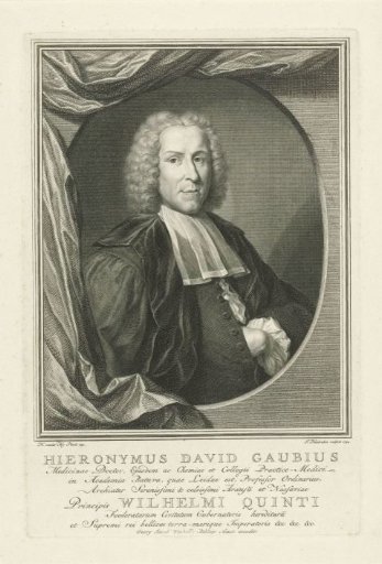 Portrait of Hieronymus David Gaubius