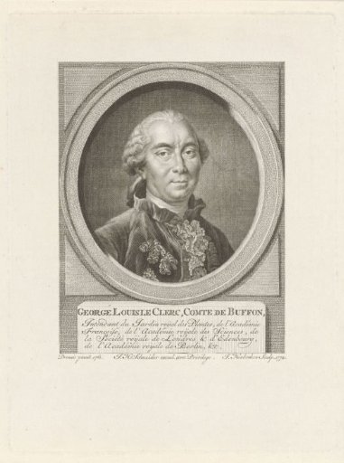 Portrait of Georges Louis Leclerc Count de Buffon