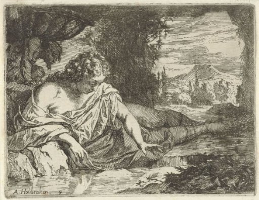 Narcissus