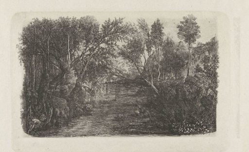 Landscape with stream and trees on banks