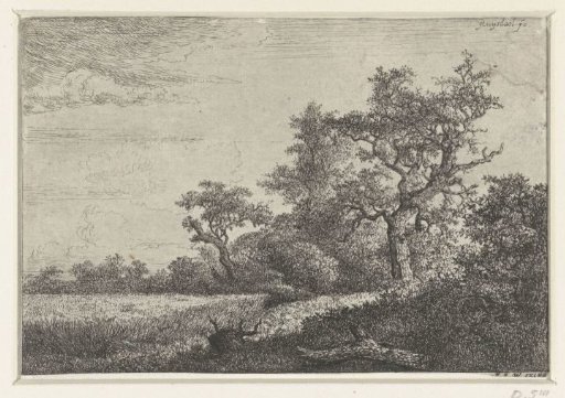 The Cornfield