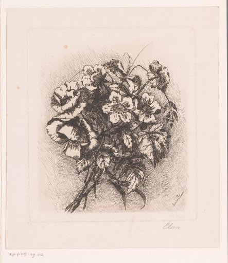 Flower still life with poppies and anemones
