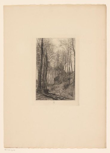 Country road along hills with trees