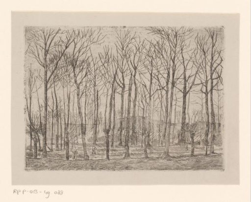 Forest view with bare trees and two figures