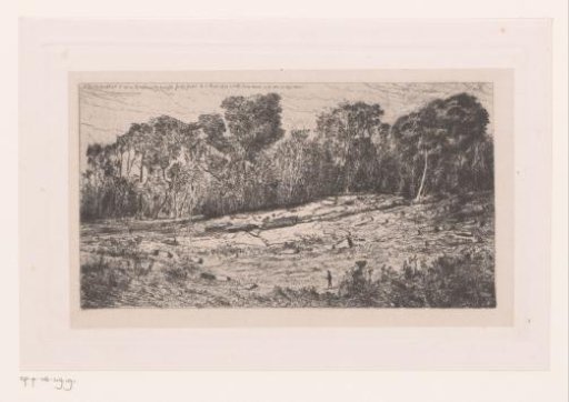 Figure in a clearing in the forest