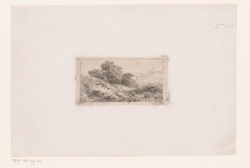 Dune landscape
