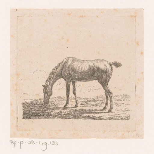 Grazing Horse
