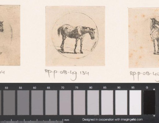 Standing Horse