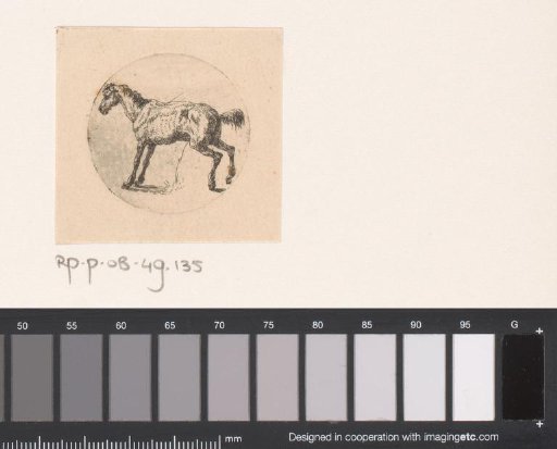 Standing Horse
