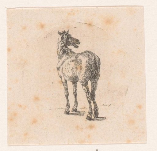 Standing Horse