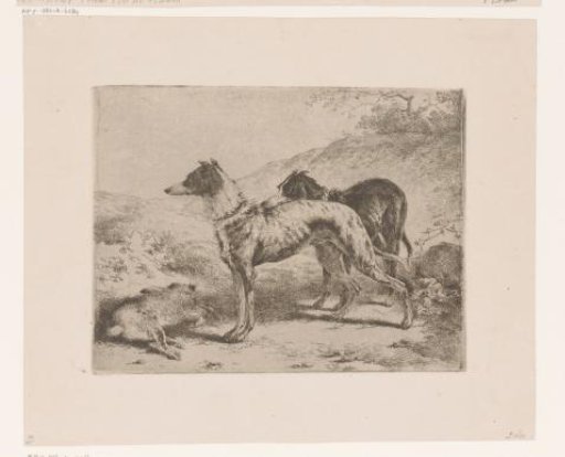 Two greyhounds by a dead hare