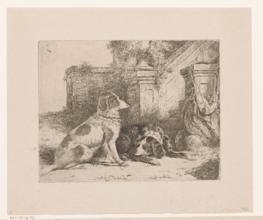 Two partridge dogs at a staircase