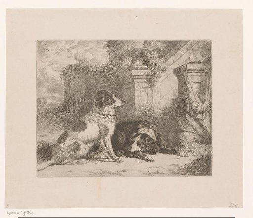 Two partridge dogs at a staircase