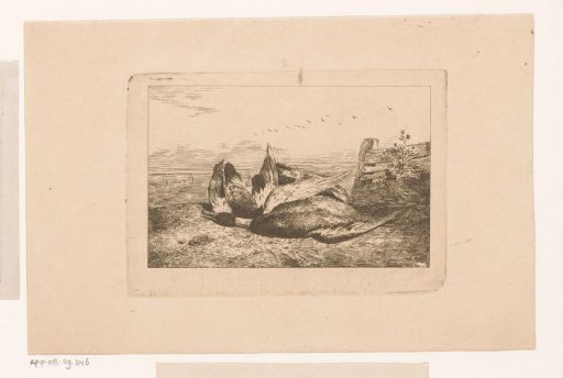 Three dead birds in a landscape