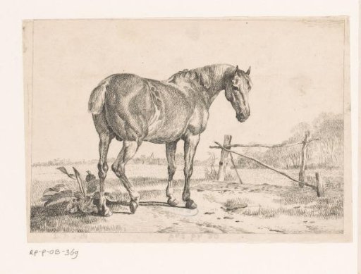 Landscape with horse near a fence
