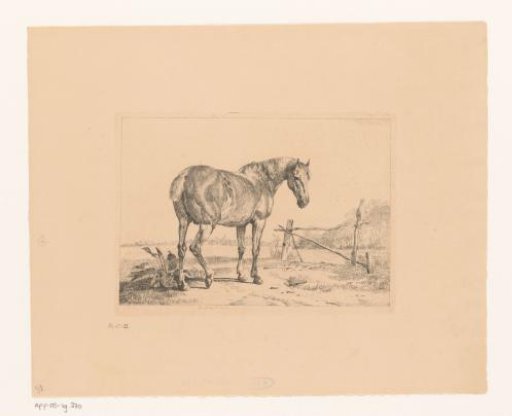 Landscape with horse near a fence