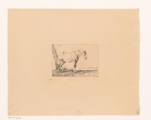 Horse near a tree trunk