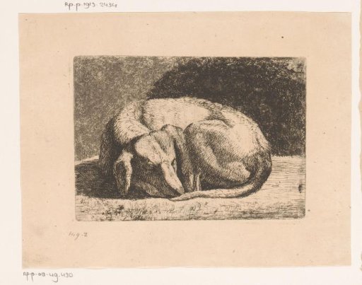 Sleeping dog