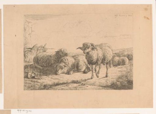 Landscape with three sheep and a ram