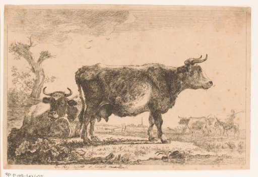 Cattle in a landscape