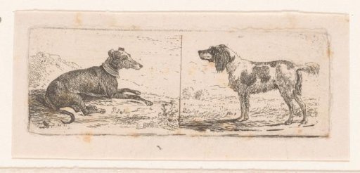 Two Dogs